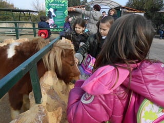 επίσκεψη στο Αττικό Ζωολογικό Πάρκο
