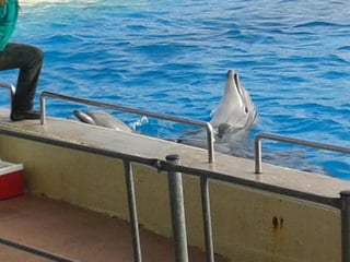 επίσκεψη στο Αττικό Ζωολογικό Πάρκο