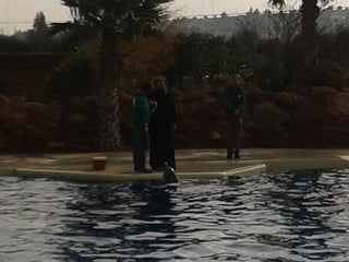 επίσκεψη στο Αττικό Ζωολογικό Πάρκο