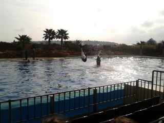 επίσκεψη στο Αττικό Ζωολογικό Πάρκο