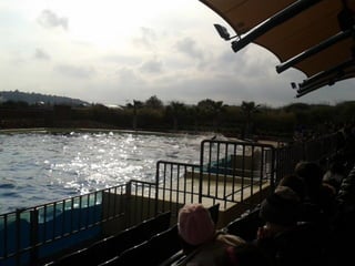 επίσκεψη στο Αττικό Ζωολογικό Πάρκο