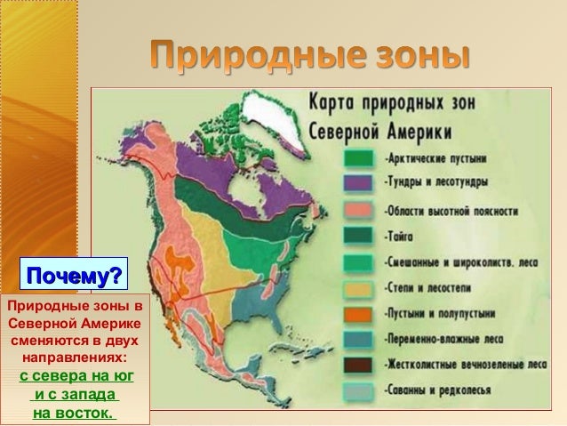природні зони північної америки