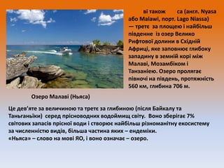 ві також
са (англ. Nyasa
або Malawi, порт. Lago Niassa)
— третє за площею і найбільш
південне із озер Велико
Рифтової долини в Східній
Африці, яке заповнює глибоку
западину в земній корі між
Малаві, Мозамбіком і
Танзаніею. Озеро пролягає
півночі на південь, протяжність
560 км, глибина 706 м.
Озеро Малаві (Ньяса)

Це дев’яте за величиною та третє за глибиною (після Байкалу та
Таньганьїки) серед прісноводних водоймищ світу. Воно зберігає 7%
світових запасів прісної води і створює найбільш різноманітну екосистему
за численністю видів, більша частина яких – ендеміки.
«Ньяса» – слово на мові ЯО, і воно означає – озеро.

 