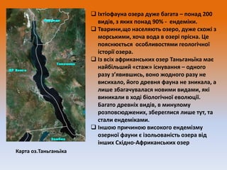  Іхтіофауна озера дуже багата – понад 200
видів, з яких понад 90% - ендеміки.
 Тварини,що населяють озеро, дуже схожі з
морськими, хоча вода в озері прісна. Це
пояснюється особливостями геологічної
історії озера.
 Із всіх африканських озер Таньганьїка має
найбільший «стаж» існування – одного
разу з’явившись, воно жодного разу не
висихало, його древня фауна не зникала, а
лише збагачувалася новими видами, які
виникали в ході біологічної еволюції.
Багато древніх видів, в минулому
розповсюджених, збереглися лише тут, та
стали ендеміками.
 Іншою причиною високого ендемізму
озерної фауни є ізольованість озера від
інших Східно-Африканських озер
Карта оз.Таньганьїка

 