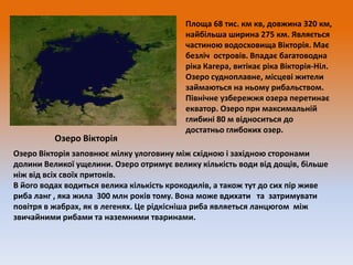 Озеро Вікторія

Площа 68 тис. км кв, довжина 320 км,
найбільша ширина 275 км. Являється
частиною водосховища Вікторія. Має
безліч островів. Впадає багатоводна
ріка Кагера, витікає ріка Вікторія-Ніл.
Озеро судноплавне, місцеві жители
займаються на ньому рибальством.
Північне узбережжя озера перетинає
екватор. Озеро при максимальній
глибині 80 м відноситься до
достатньо глибоких озер.

Озеро Вікторія заповнює мілку улоговину між східною і західною сторонами
долини Великої ущелини. Озеро отримує велику кількість води від дощів, більше
ніж від всіх своїх притоків.
В його водах водиться велика кількість крокодилів, а також тут до сих пір живе
риба ланг , яка жила 300 млн років тому. Вона може вдихати та затримувати
повітря в жабрах, як в легенях. Це рідкісніша риба являеться ланцюгом між
звичайними рибами та наземними тваринами.

 