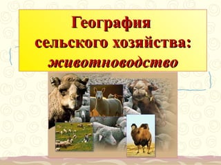 География
сельского хозяйства:
животноводство

 