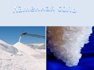 познание мира ф и ф