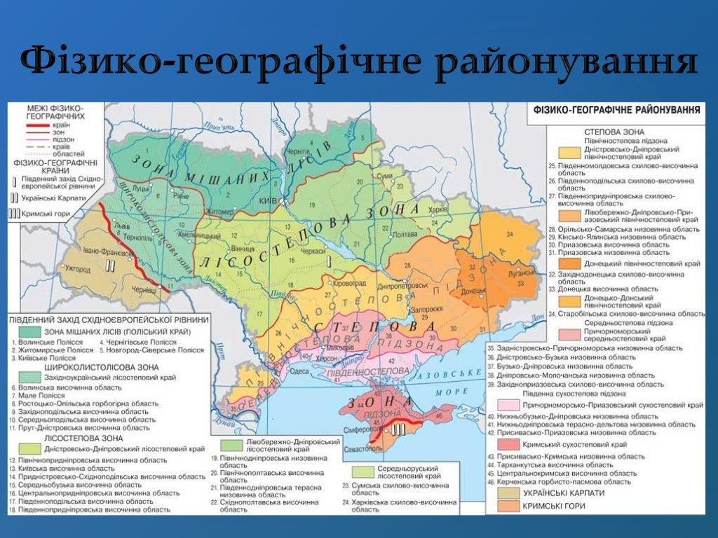 Лісостеп