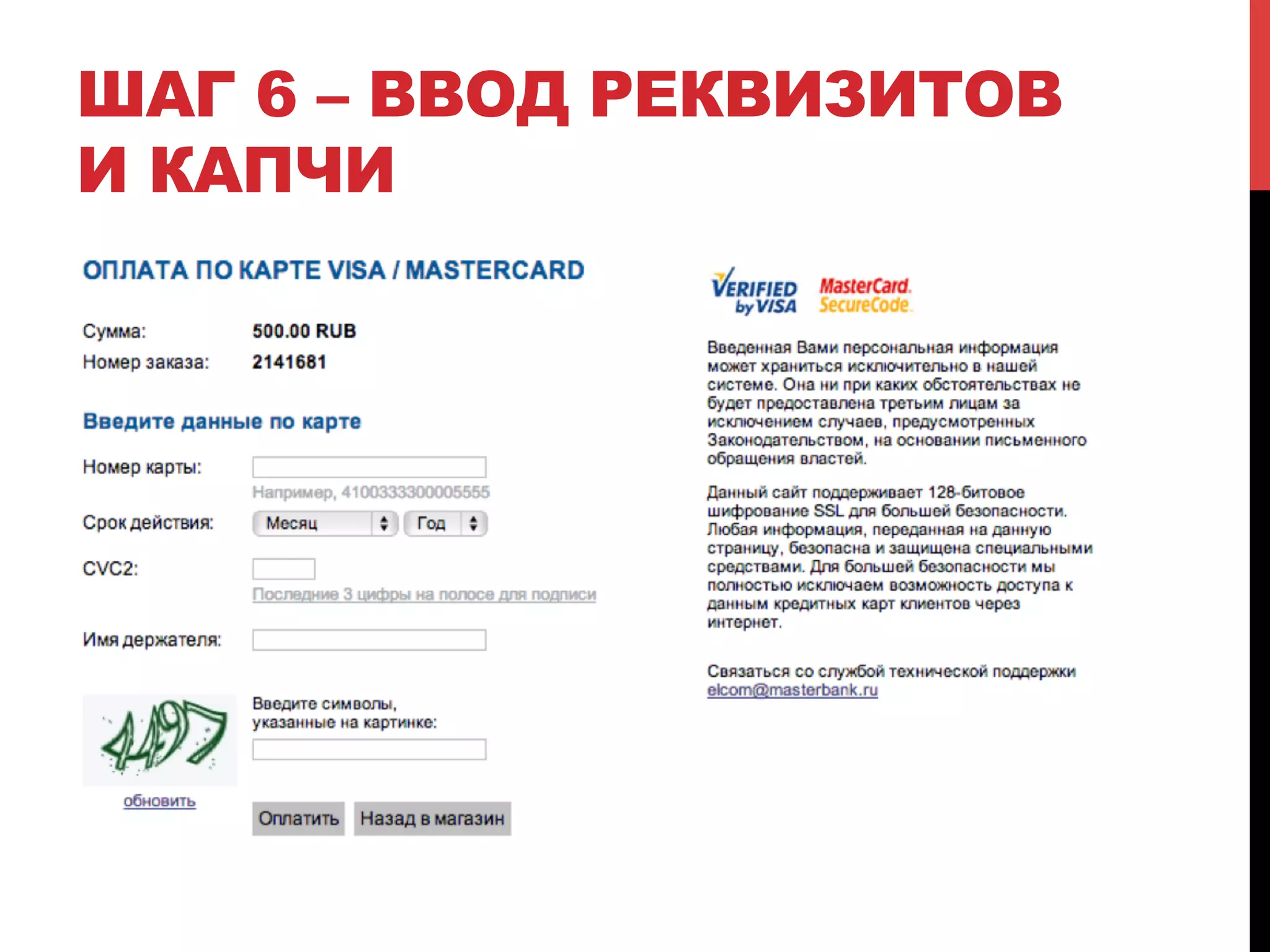 ШАГ 6 – ВВОД РЕКВИЗИТОВ
И КАПЧИ

 