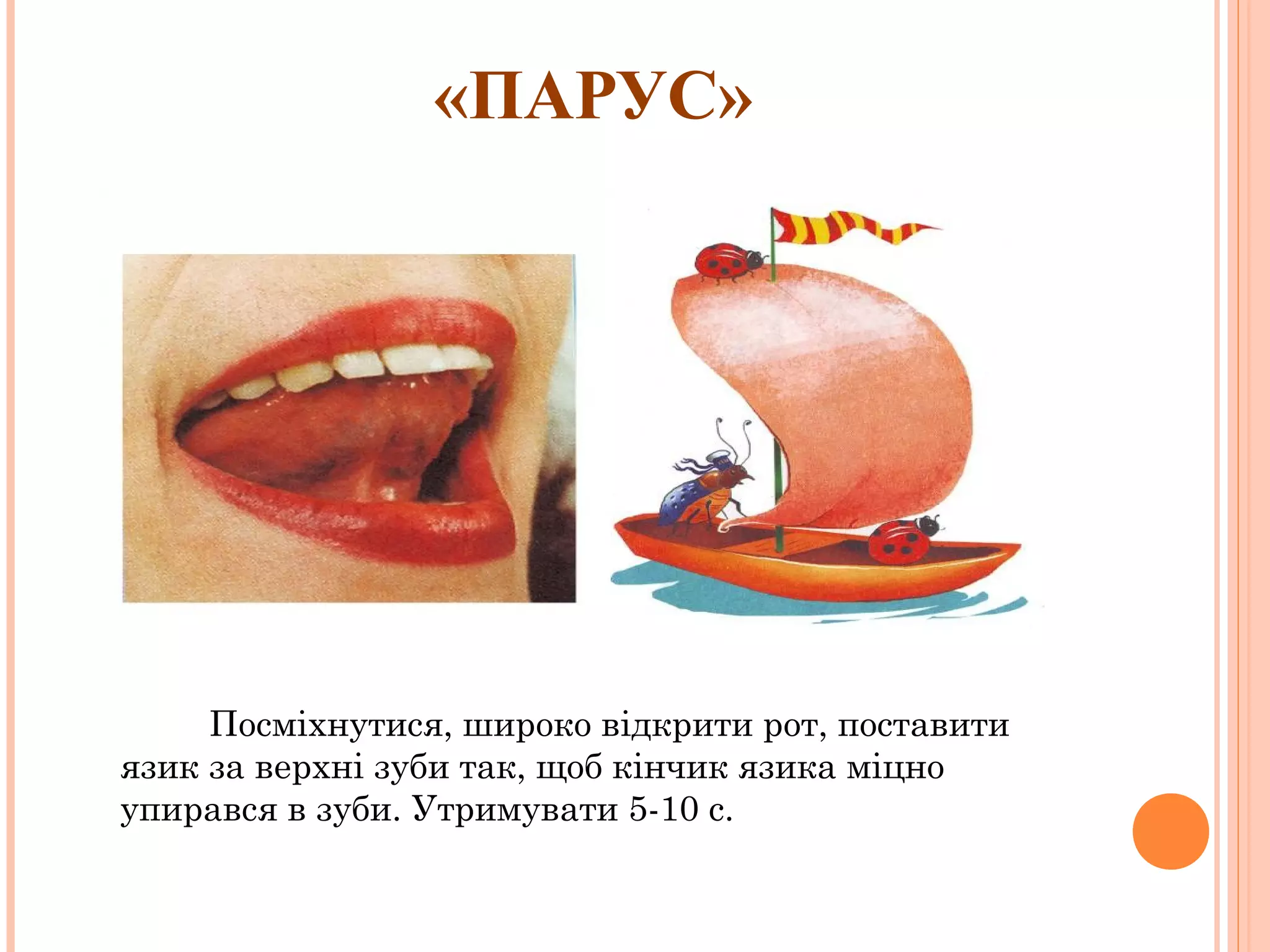 «ПАРУС»

Посміхнутися, широко відкрити рот, поставити
язик за верхні зуби так, щоб кінчик язика міцно
упирався в зуби. Утримувати 5-10 с.

 
