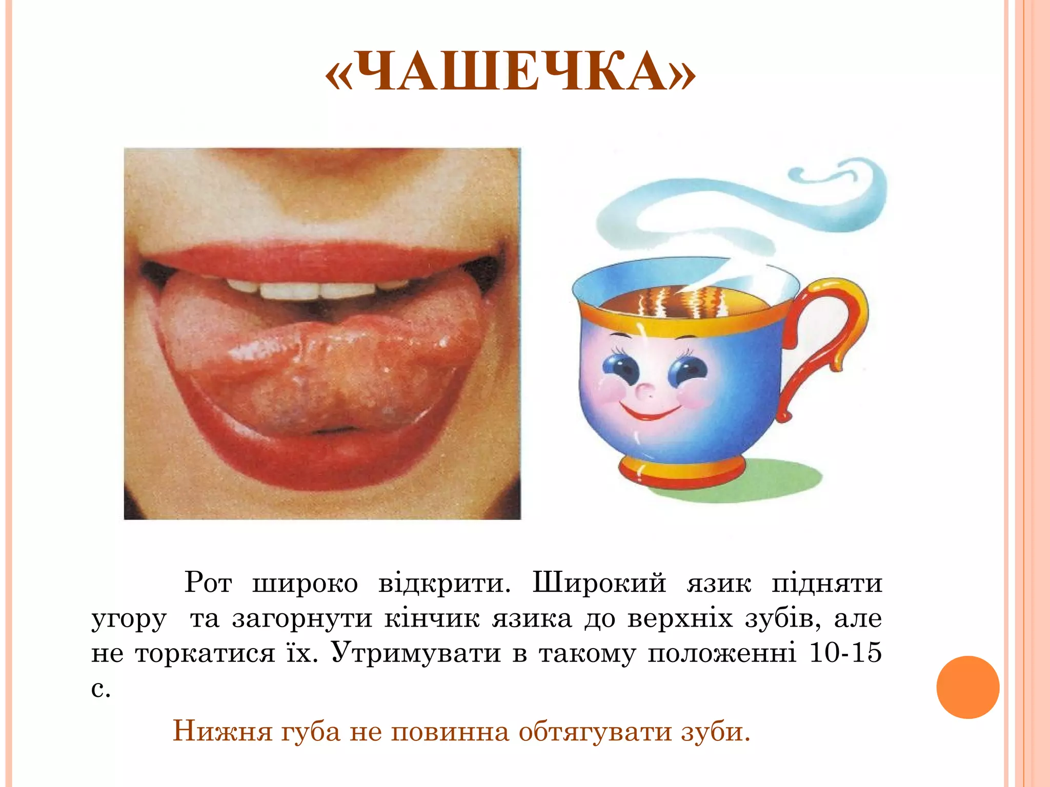 «ЧАШЕЧКА»

Рот широко відкрити. Широкий язик підняти
угору та загорнути кінчик язика до верхніх зубів, але
не торкатися їх. Утримувати в такому положенні 10-15
с.
Нижня губа не повинна обтягувати зуби.

 
