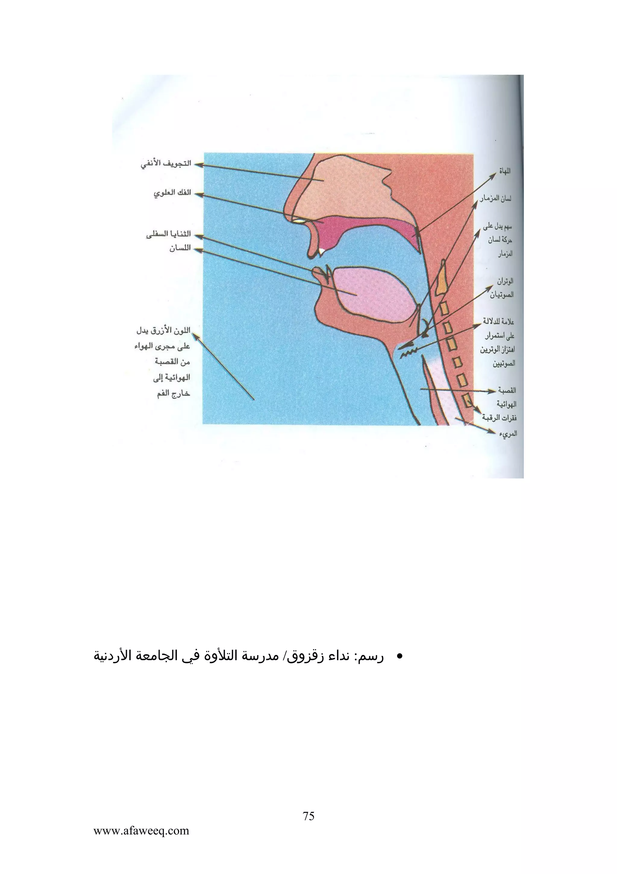 ‫• رسم: نداء زقزوق/ مدرسة التلوة في الجامعة الردنية‬

‫57‬
‫‪www.afaweeq.com‬‬

 