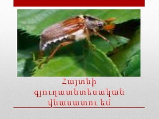 պողոսյան դավիթ