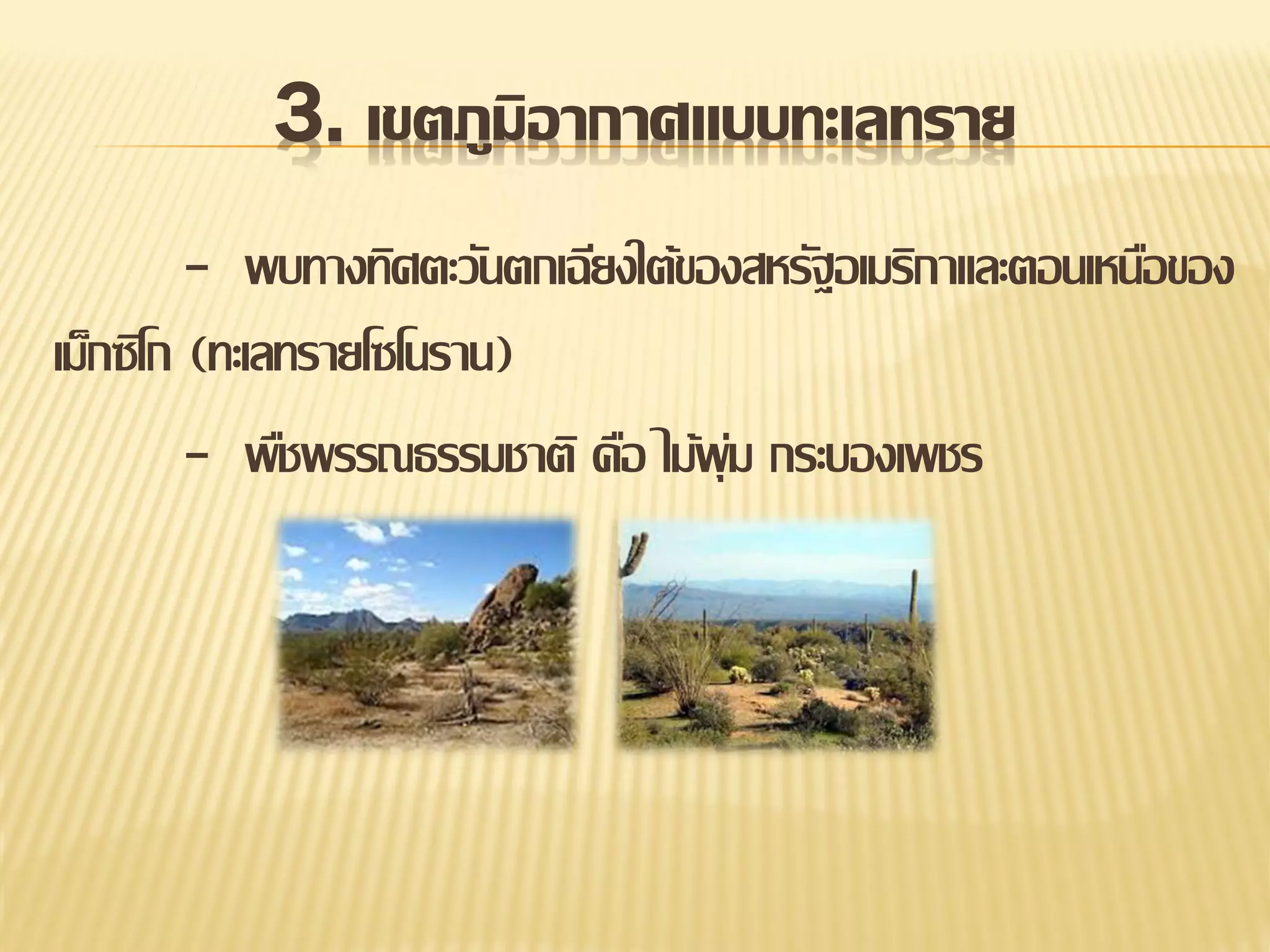 3. เขตภูมิอากาศแบบทะเลทราย
- พบทางทิศตะวันตกเฉียงใต้ของสหรัฐอเมริกาและตอนเหนือของ
เม็กซิโก (ทะเลทรายโซโนราน)
- พืชพรรณธรรมชาติ คือ ไม้พุม กระบองเพชร
่

 