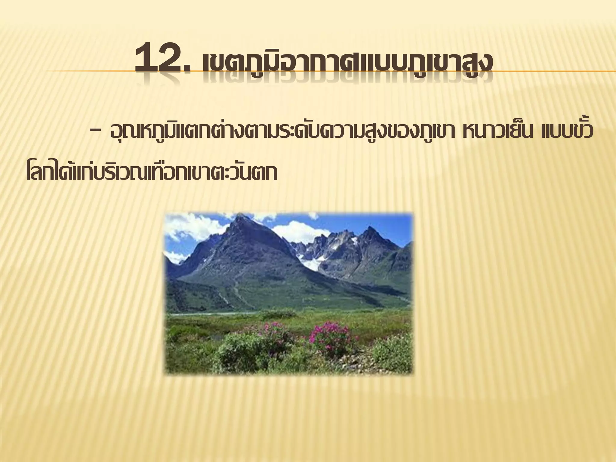 12. เขตภูมิอากาศแบบภูเขาสูง
- อุ ณหภูมแิ ตกต่างตามระดับความสูงของภูเขา หนาวเย็น แบบขัว
้
โลกได้แก่บริเวณเทือกเขาตะวันตก

 