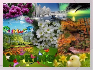 წელიწადის დროები