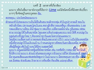 บทที่ 2 เอกสารที่เกี่ยวข้ อง
มะนาว หรื อในชื่อภาษาอังกฤษที่เรี ยกว่า Lime ผลไม้ ชนิดหนึ่งที่มีรสชาติเปรี ยว
้
มากๆ ซึงจัดอยูในตระกูลของ ส้ ม
่
่
สรรพคุณ / ประโยชน์ของมะนาว
ลักษณะทัวไปของมะนาวเป็ นไม้ ยืนต้ นขนาดเล็กทรงพุม ตัวใบรูปร่างกลมรี ขอบใบ
่
่
หยักเล็กน้ อย ปลายและโคนใบมน ดอกเล็กสีขาวอมเหลือง กลินหอมอ่อน ๆ ผล
่
กลมเปลือกบางเรี ยบ มีน ้าชุ่มมาก รสเปรี ยว เปลือกผลมีน ้ามัน กลิ่นหอม รสขม
้
สามารถปลูกได้ ในดินทุกชนิด โดยเฉพาะดินร่วนซุยและระบายน ้าได้ ดี ควรปลูกใน
ฤดูฝนช่วงที่ปลูกใหม่ ๆ ต้ องรดน ้าทุกวันและไม่ควรโดนแดดมาก
โดยมีความเชื่อตามตาราพรหมชาติฉบับหลวงกล่าวไว้ วา มะนาวเป็ นไม้ มงคลชนิด
่
หนึงที่ควรปลูกไว้ ในบริเวณบ้ าน กาหนดปลูกทางทิศตะวันตกเฉียงเหนือ (พายัพ)
่
เพื่อผู้ที่อยูอาศัยในบ้ านจะได้ มีความสุขสวัสดี
่
มะนาว เป็ นผลไม้ ที่มีกรดอินทรี ย์หลายชนิด เช่น กรดซิตริก กรดมาลิค วิตามินซี
ซึงได้ จากน ้ามะนาว ส่วนน ้ามันหอมระเหยจากผิวมะนาวมีวิตามินเอและซี รวมทัง้
่
มีธาตุแคลเซียมและฟอสฟอรัสสูงกว่าในน ้ามะนาว มีสรรพคุณทางยาคือ เปลือก
ผล มีรสขม ช่วยขับลม รักษาอาการท้ องอืด ท้ องเฟอ แน่นจุกเสียด
้

 