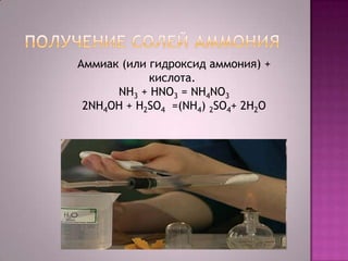 Аммиак (или гидроксид аммония) +
кислота.
NH3 + HNO3 = NH4NO3
2NH4OH + H2SO4 =(NH4) 2SO4+ 2Н2O

 