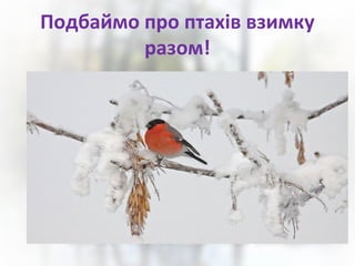 Подбаймо про птахів взимку
разом!

 