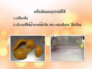 เครื่องมือและอุปกรณ์ที่ใช้
1.เปลือกส้ม
2.บริเวณที่ติดน
้ายาลบค
้าผิด เช่น กล่องดินสอ โต๊ะเรียน
 
