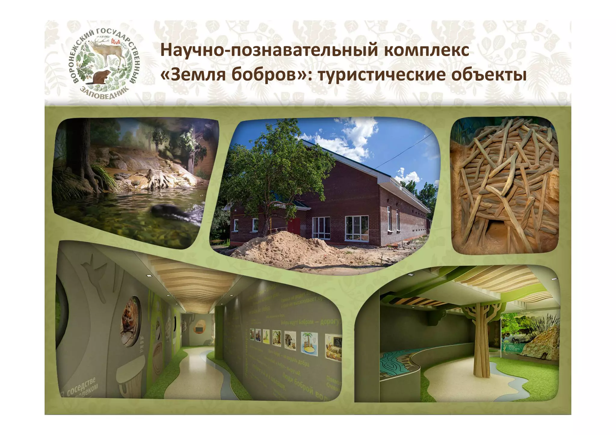 Научно-познавательный комплекс
«Земля бобров»: туристические объекты

 