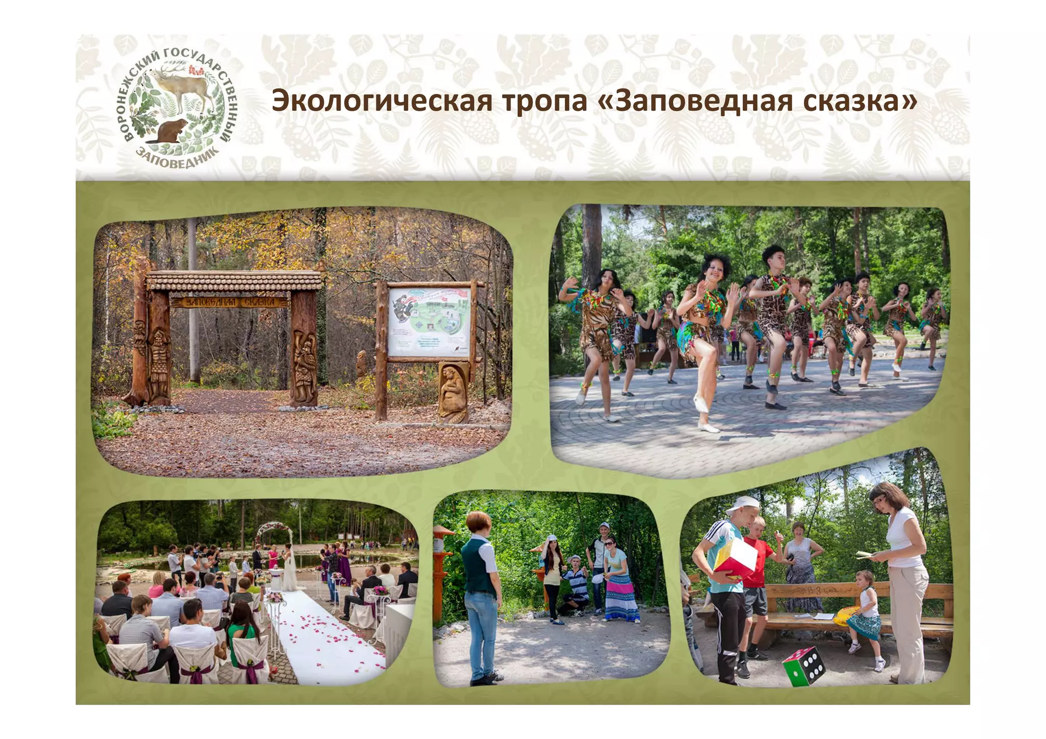 Экологическая тропа «Заповедная сказка»

 