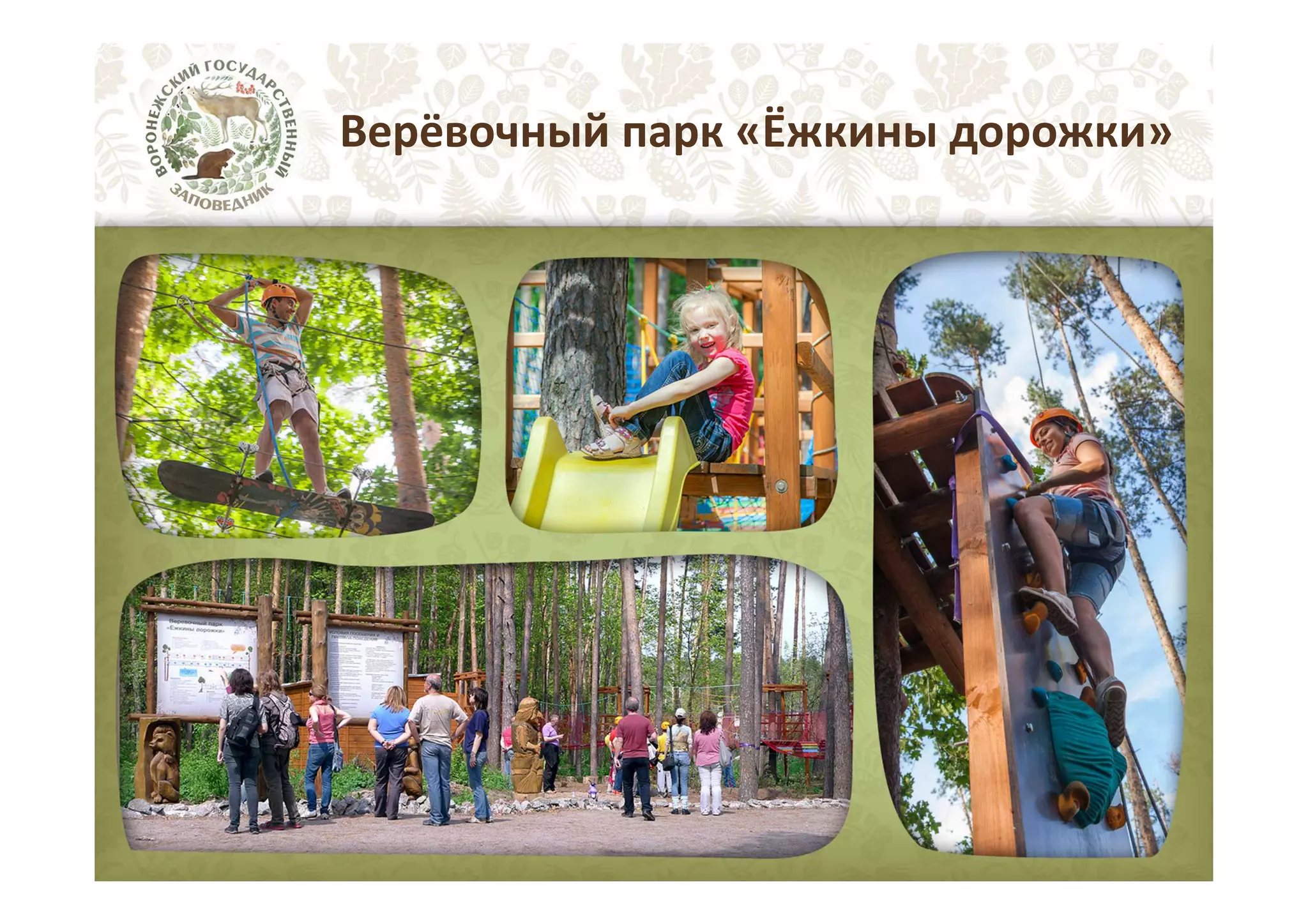 Верёвочный парк «Ёжкины дорожки»

 