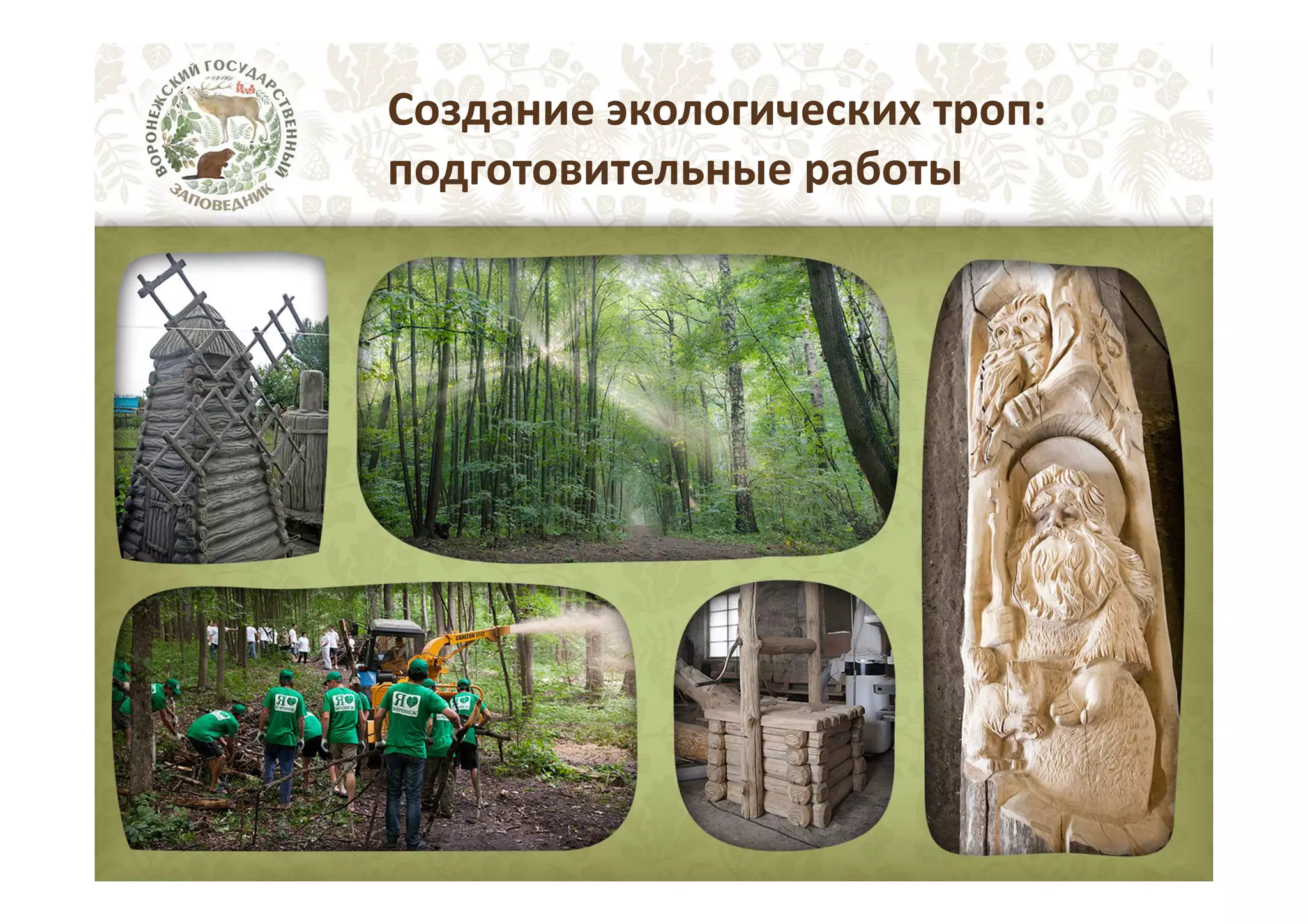 Создание экологических троп:
подготовительные работы

 