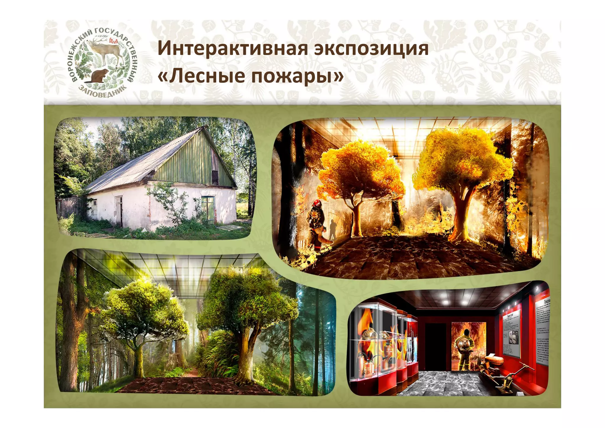 Интерактивная экспозиция
«Лесные пожары»

 