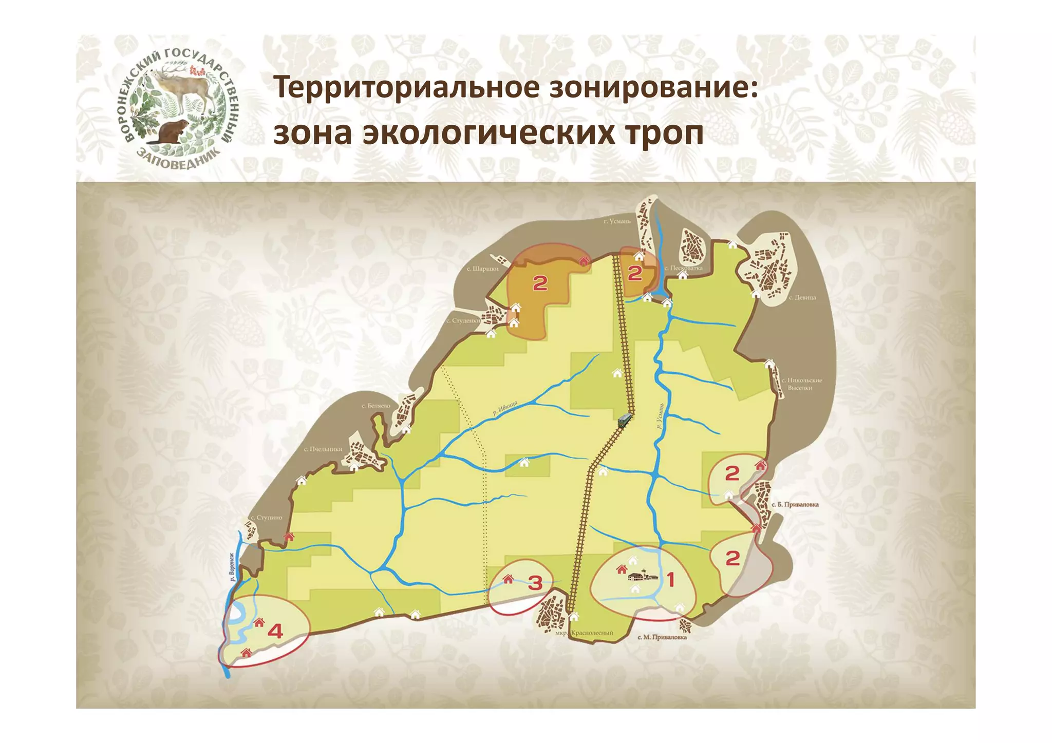 Территориальное зонирование:

зона экологических троп

 