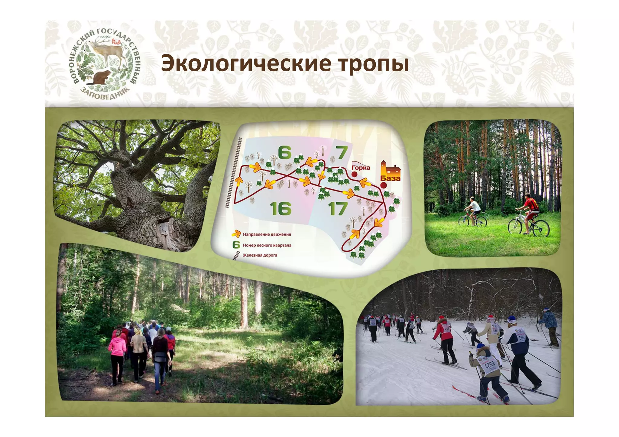 Экологические тропы

 