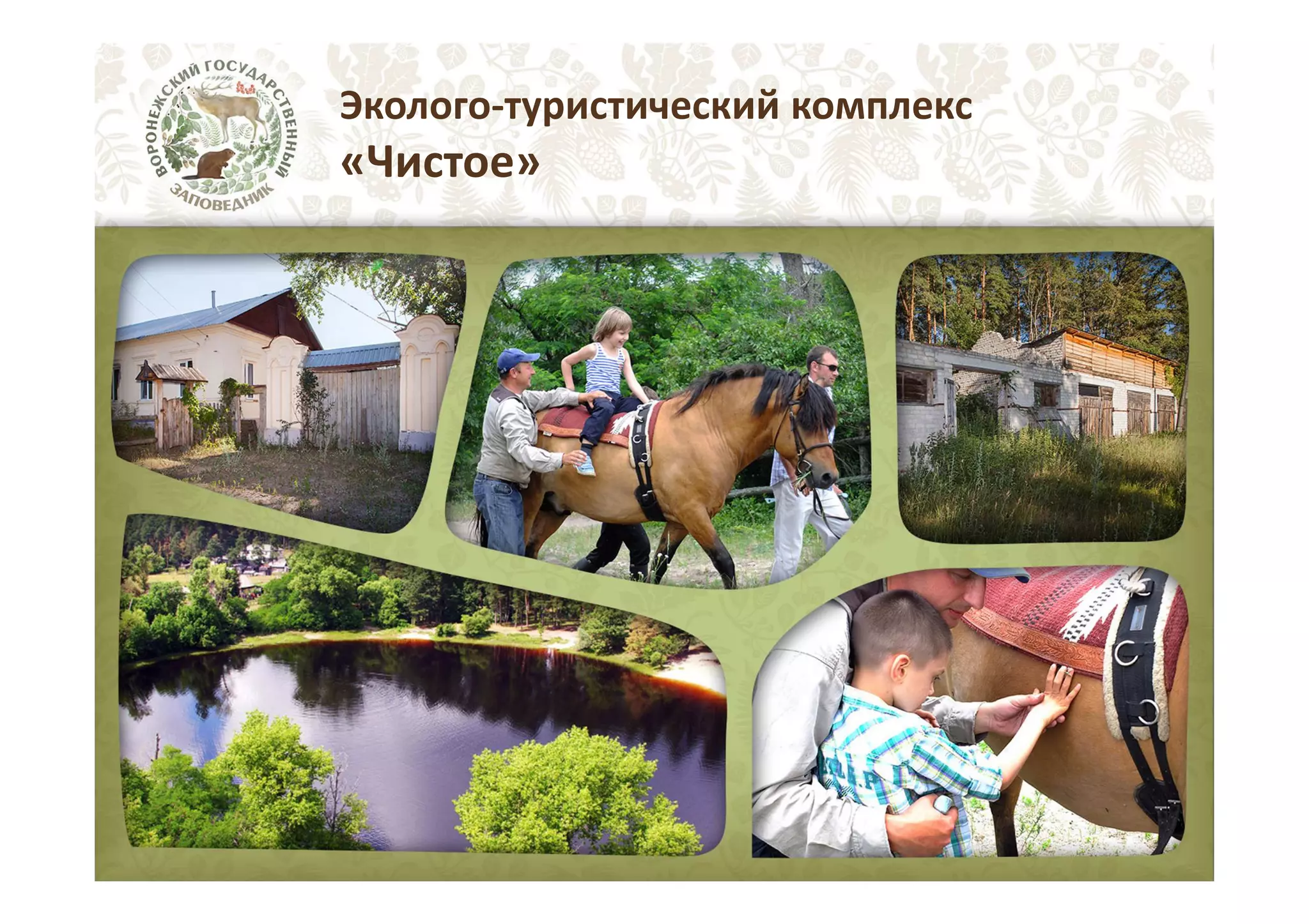 Эколого-туристический комплекс

«Чистое»

 