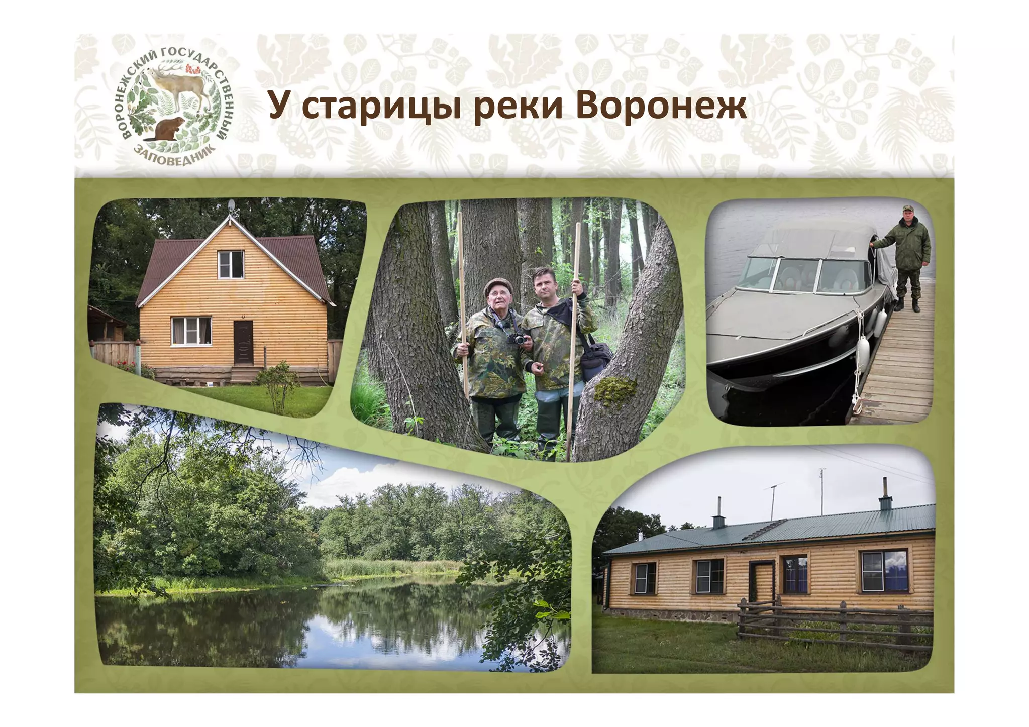 У старицы реки Воронеж

 