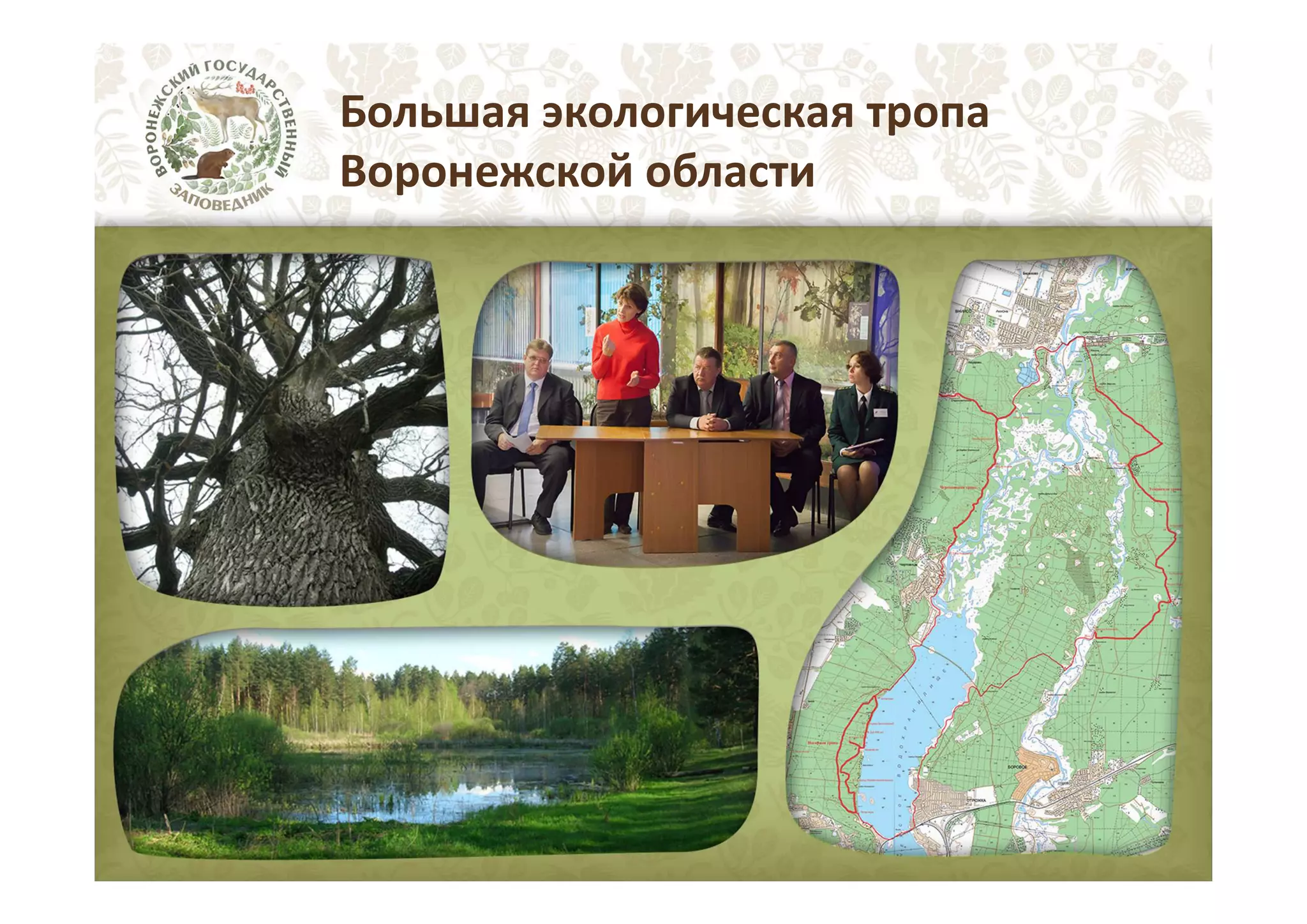 Большая экологическая тропа
Воронежской области

 