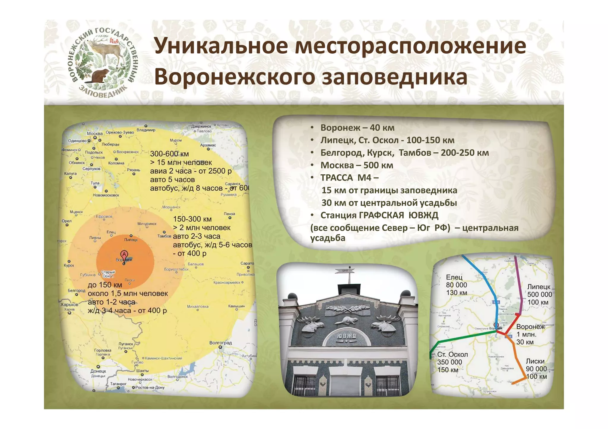 Уникальное месторасположение
Воронежского заповедника
•
•
•
•
•

Воронеж – 40 км
Липецк, Ст. Оскол - 100-150 км
Белгород, Курск, Тамбов – 200-250 км
Москва – 500 км
ТРАССА М4 –
15 км от границы заповедника
30 км от центральной усадьбы
• Станция ГРАФСКАЯ ЮВЖД
(все сообщение Север – Юг РФ) – центральная
усадьба

 