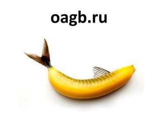 oagb.ru

 