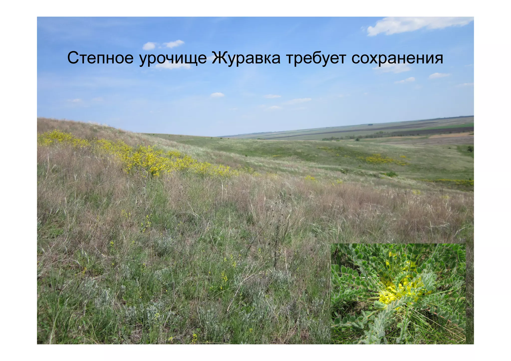 Степное урочище Журавка требует сохранения
 
