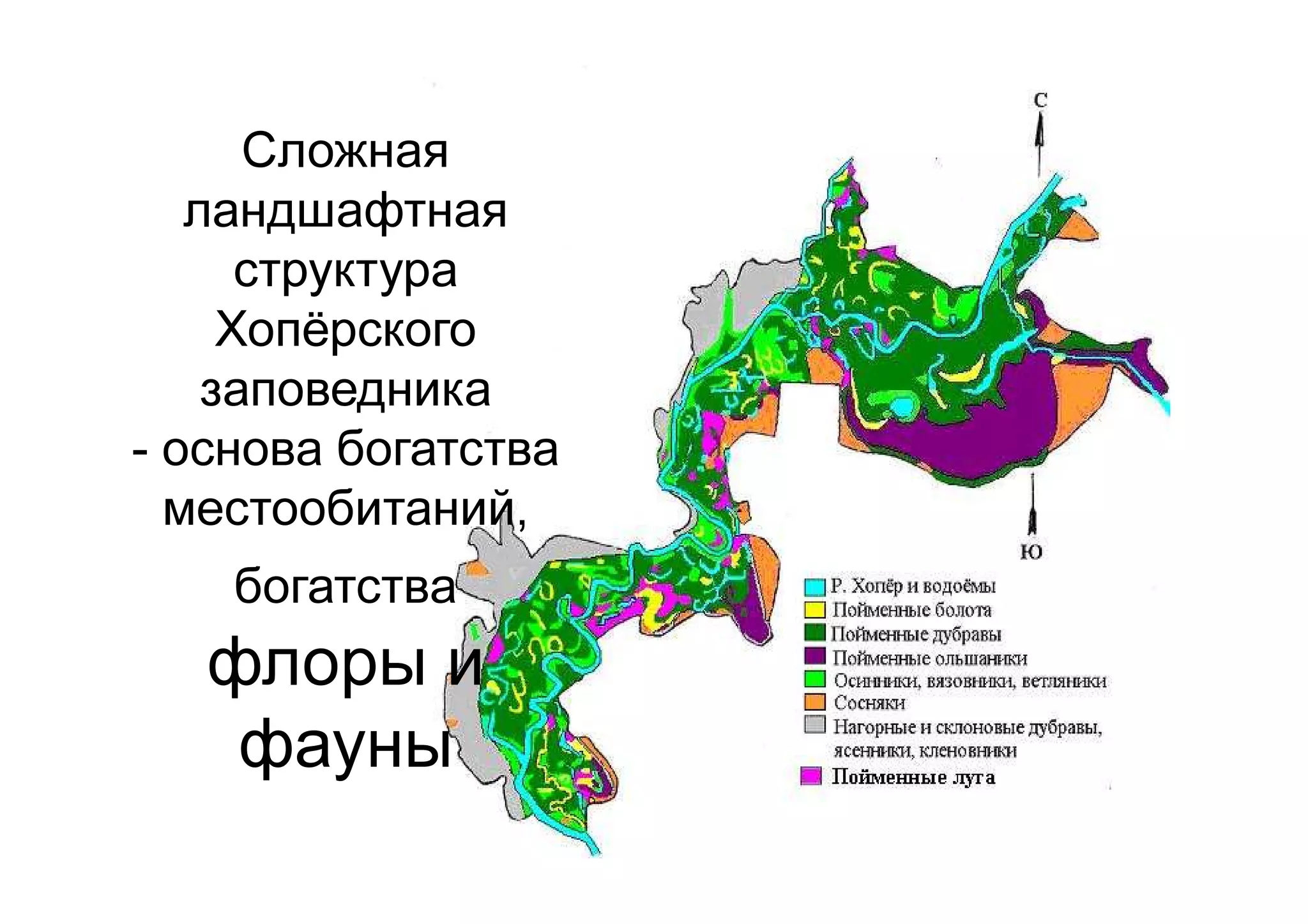Сложная
ландшафтная
структура
Хопёрского
заповедника
- основа богатства
местообитаний,
богатства
флоры и
фауны
 