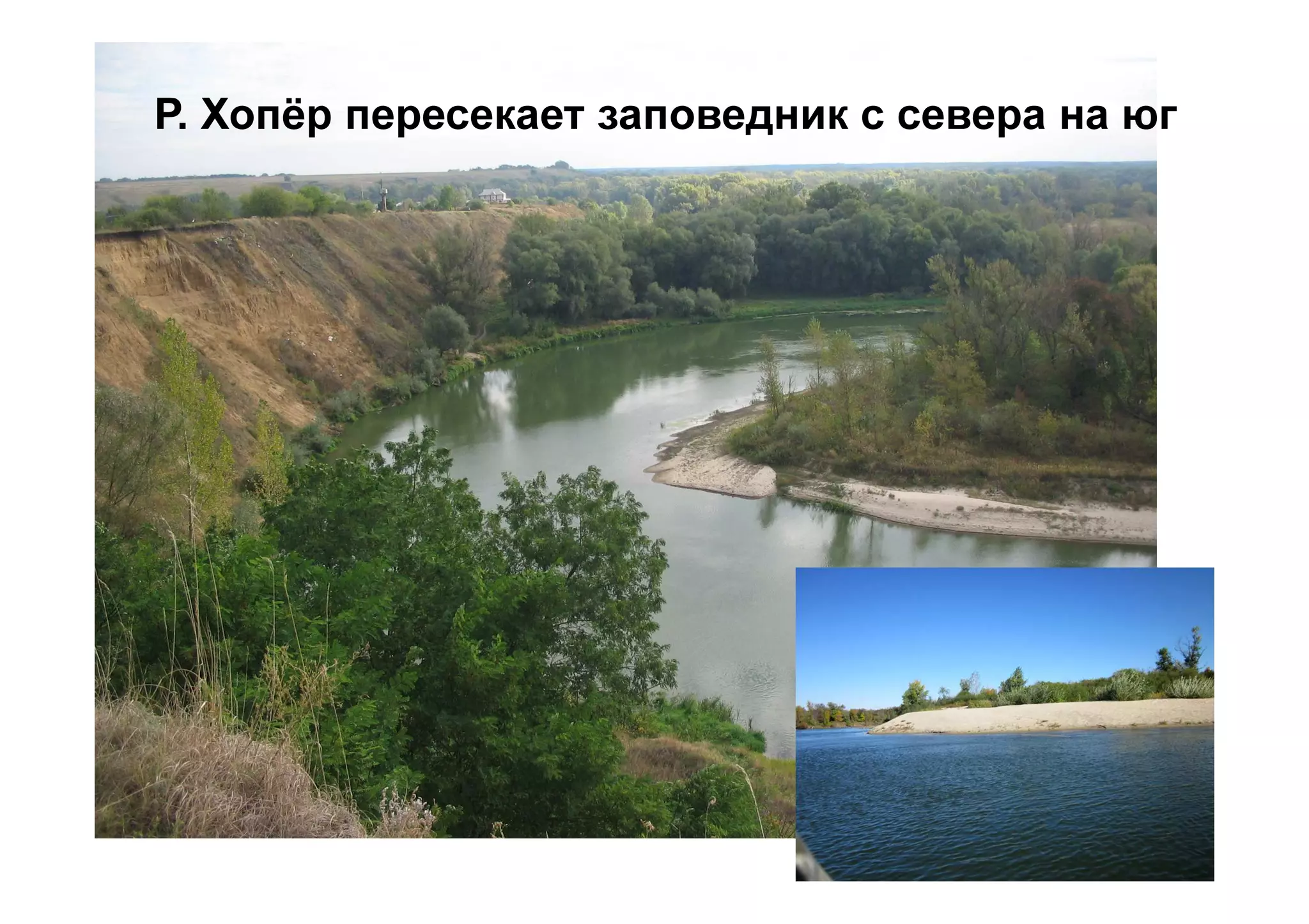 Р. Хопёр пересекает заповедник с севера на юг
 