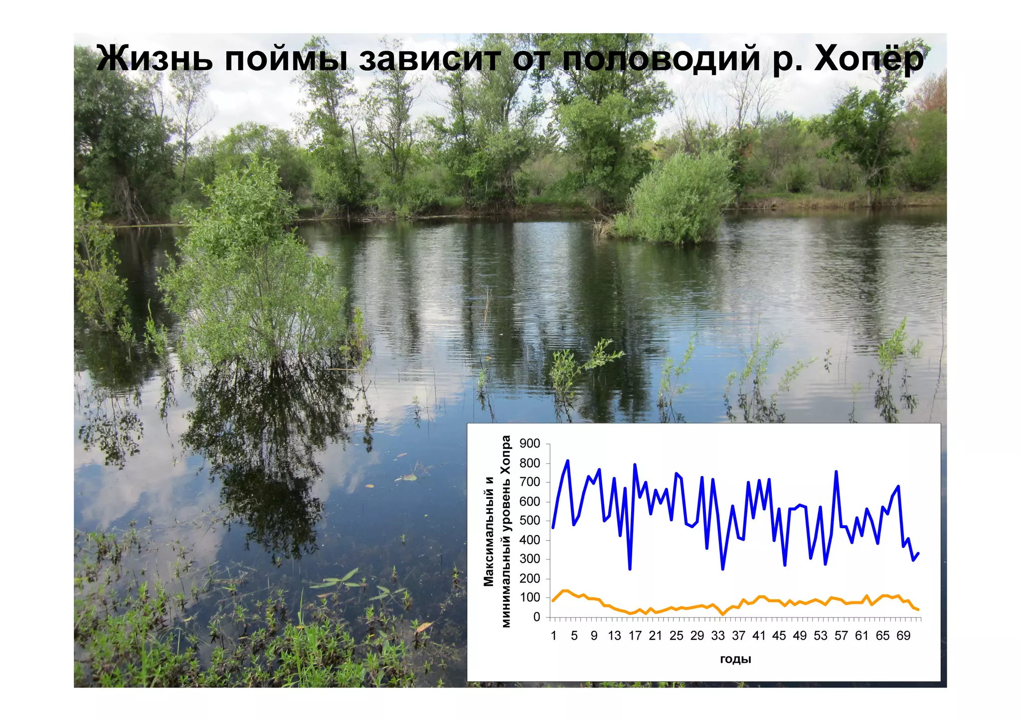 Жизнь поймы зависит от половодий р. Хопёр
0
100
200
300
400
500
600
700
800
900
1 5 9 13 17 21 25 29 33 37 41 45 49 53 57 61 65 69
годы
Максимальный
и
минимальный
уровень
Хопра
 