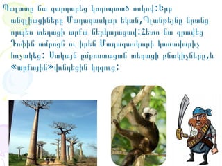 Պալատը նա զարդարեց կողոպտած ոսկով:Երբ
անգլիացիները Մադագասկար եկան,Պլանթեյնը նրանց
որպես տեղացի արքա ներկայացավ:Հետո նա գրավեց
Դոֆին ամրոցն ու իրեն Մադագասկարի կառավարիչ
հռչակեց: Սակայն ըմբոստացան տեղացի բնակիչները,և
«արքային»վռնդեցին կղզուց:

 