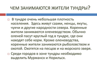 ЧЕМ ЗАНИМАЮТСЯ ЖИТЕЛИ ТУНДРЫ?
 В тундре очень небольшая плотность
населения. Здесь живут саами, ненцы, якуты,
чукчи и другие народности севера. Коренные
жители занимаются оленеводством. Обычно
оленей пасут круглый год в тундре, где они
находят себе корм. Кроме оленеводства,
коренные жители занимаются рыболовством и
охотой. Охотятся на песцов и на морского зверя.
 Среди городов в зоне тундры необходимо
выделить Мурманск и Норильск.
 