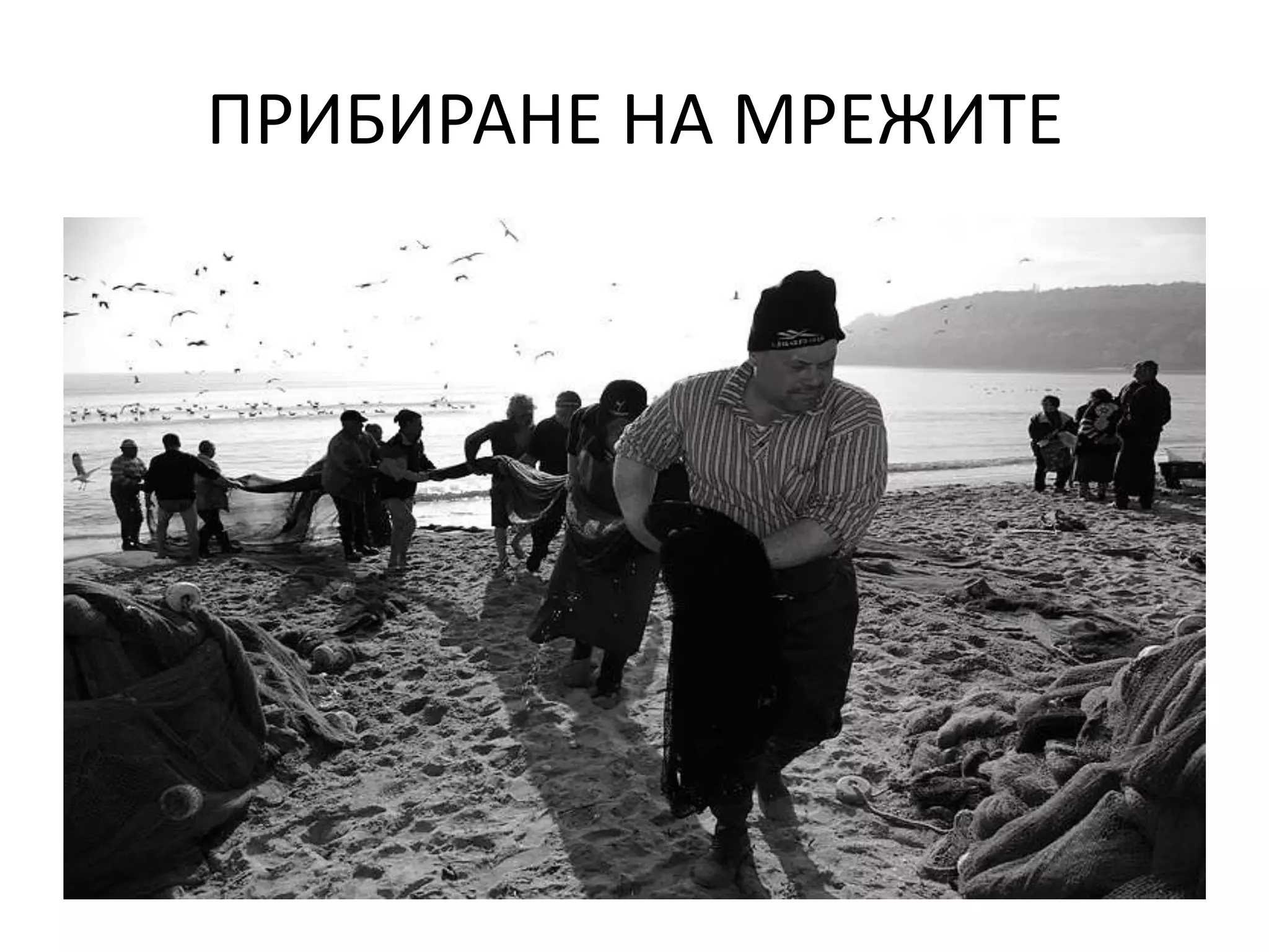 ПРИБИРАНЕ НА МРЕЖИТЕ

 