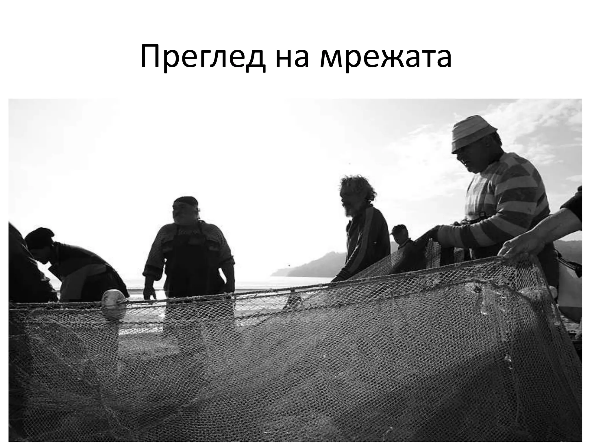 Преглед на мрежата

 