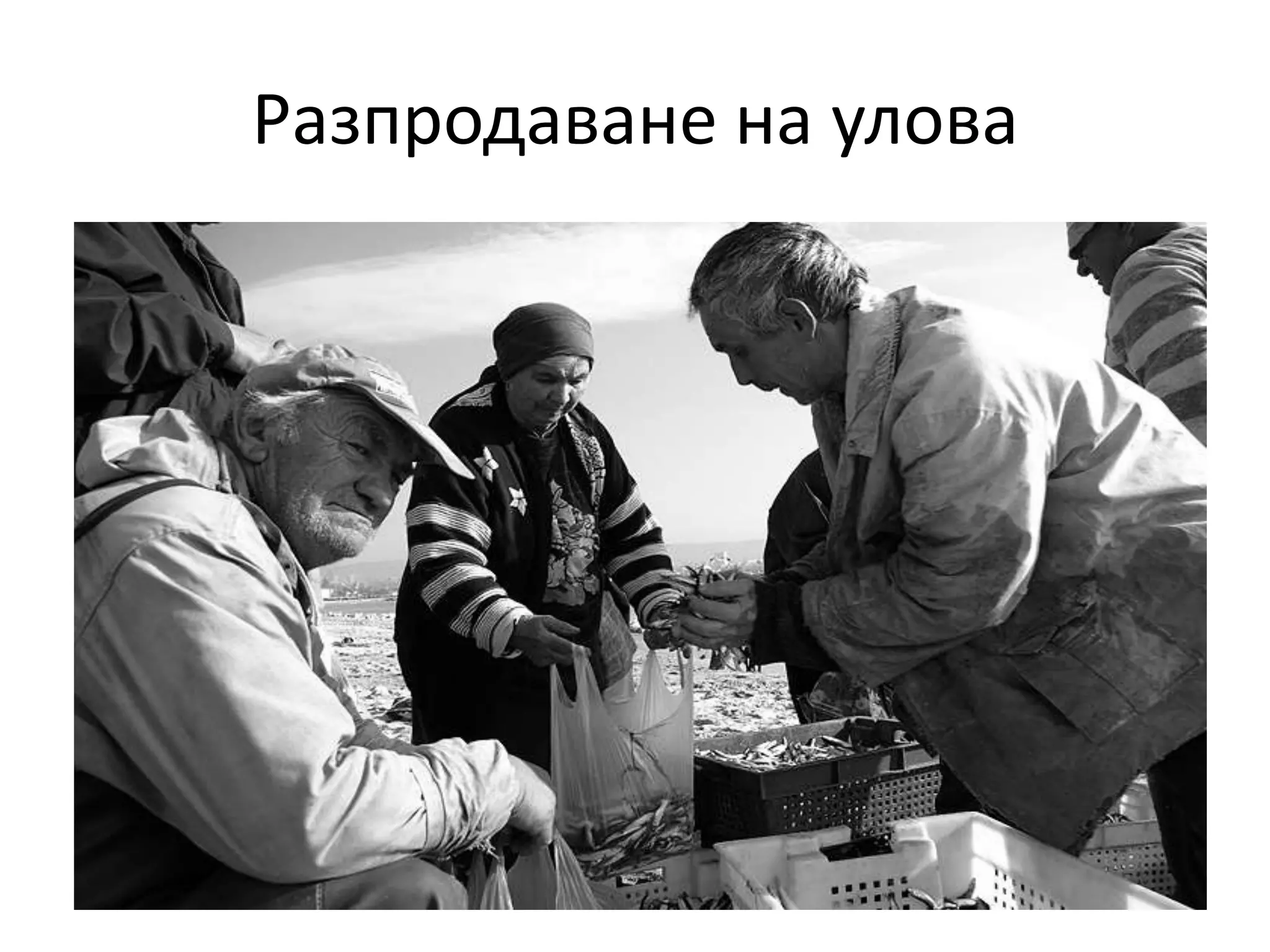 Разпродаване на улова

 