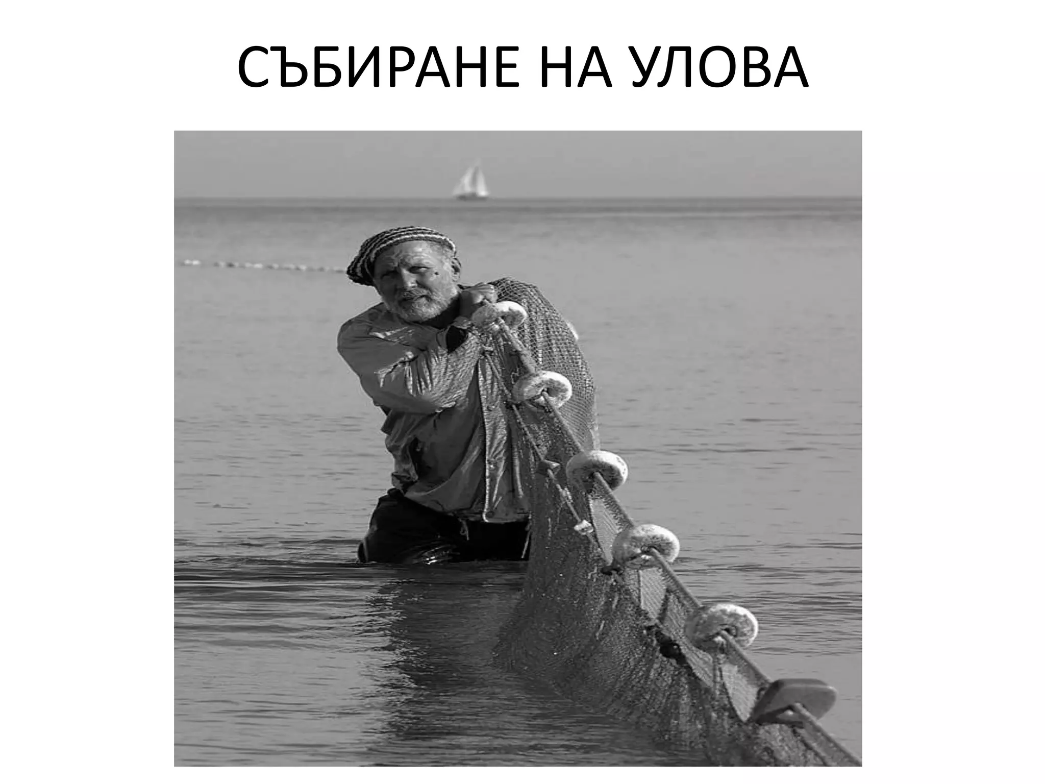 СЪБИРАНЕ НА УЛОВА

 