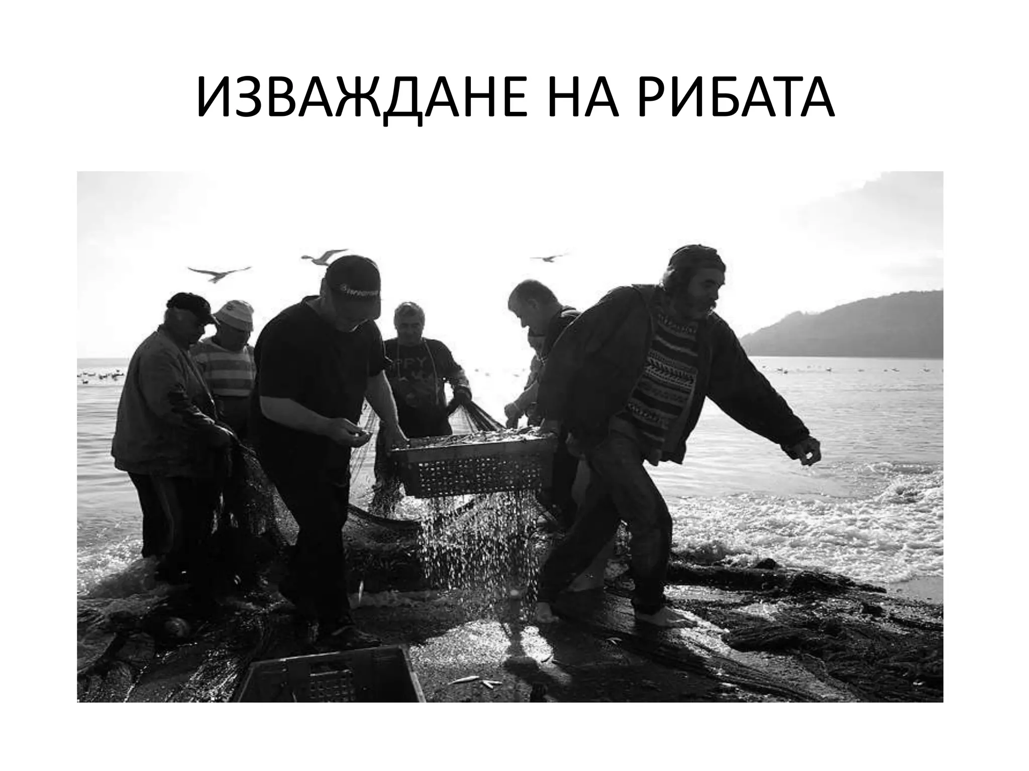 ИЗВАЖДАНЕ НА РИБАТА

 