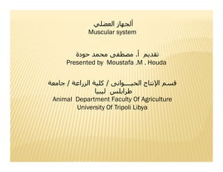 Muscular system
.
Presented by Moustafa .M . Houda
„

‰ / „… †‡ „ ˆ /
€ • ‚ƒ
Š ‹ Œ •Ž
Animal Department Faculty Of Agriculture
University Of Tripoli Libya

 