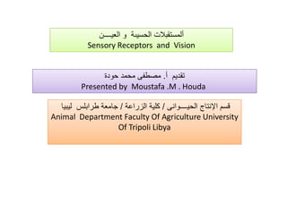 ‚ €
ƒ
„…
Sensory Receptors and Vision
.
Presented by Moustafa .M . Houda
€ •/
/
Animal Department Faculty Of Agriculture University
Of Tripoli Libya

 