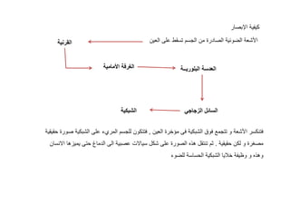 ‰ „ Ž

…

ƒƒ

†‡
„‰ Š‹

…Œ

•,
•‰

€

Ž

•

‚ •ƒ
••Š Ž „ ‘ .

†

…

„•
…
’

ˆ
“

••Š

 